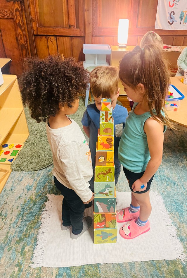 Mixed-age group collaborating on complex block construction, demonstrating teamwork and engineering skills in Montessori environment