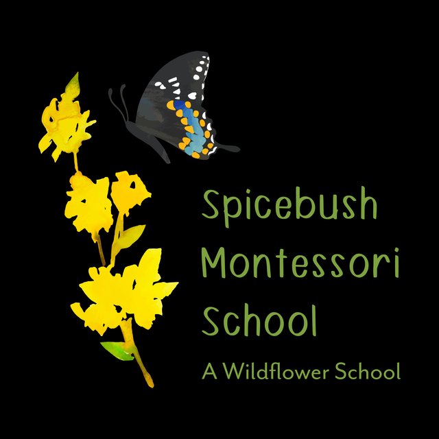 Spicebush Montessori School logo featuring natural botanical design elements